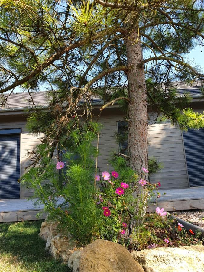 Cosy Wood House Bed & Breakfast Laubressel Exterior foto